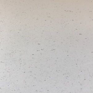 Meet your Posher, Cameron